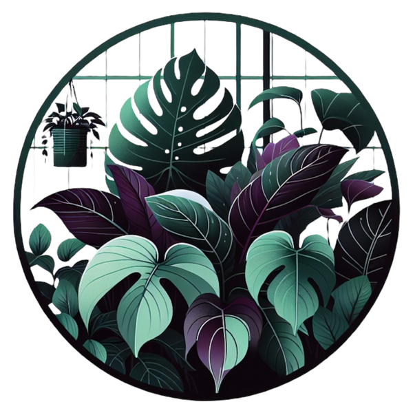 It’s Not a Phase Plant Co. logo
